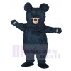 Bruce the Bear mascot costume