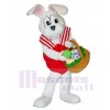 Peter Cottontail Rabbit mascot costume