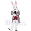 Rabbit mascot costume