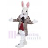Rabbit mascot costume