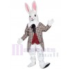 Rabbit mascot costume