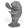 Manatee mascot costume