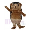 Hedgie Hedgehog mascot costume