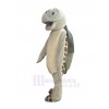 Turtle mascot costume
