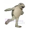 Luna The Sea Turtle mascot costume