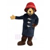Bear mascot costume
