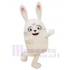 Rabbit mascot costume