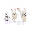 Rabbit mascot costume