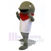 Dolphin mascot costume