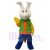 Bunny Rabbit mascot costume