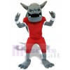 Devil mascot costume