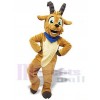 Ram mascot costume