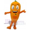 Carrot mascot costume