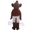 Monkey mascot costume