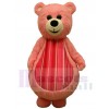 Teddy Bear mascot costume