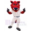 Wild Boar mascot costume