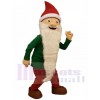 Dwarfs Elf mascot costume
