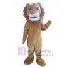 Lion mascot costume