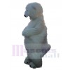 Polar Bear mascot costume