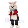 Rabbit mascot costume