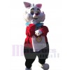Rabbit mascot costume
