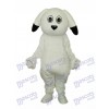 Black Ears White Dog Mascot Adult Costume