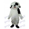 Long Haired Colourful Dog Mascot Adult Costume