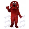 Rooney Brown Dog Mascot Adult Costume