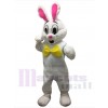 Easter Bunny Rabbit mascot costume