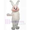 Easter Bunny Rabbit mascot costume
