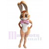 Easter Bunny Rabbit mascot costume