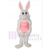 Easter Bunny Rabbit mascot costume