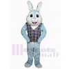 Easter Bunny Rabbit mascot costume