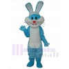Easter Bunny Rabbit mascot costume