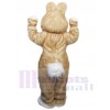 Easter Bunny Rabbit mascot costume