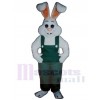 Easter Bunny Rabbit mascot costume