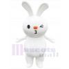 Easter Bunny Rabbit mascot costume