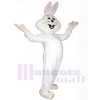 Easter Bunny Rabbit mascot costume