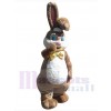Easter Bunny Rabbit mascot costume