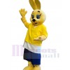 Easter Bunny Rabbit mascot costume