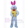 Easter Bunny Rabbit mascot costume