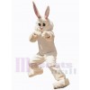 Easter Bunny Rabbit mascot costume