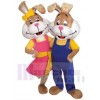 Easter Bunny Rabbit mascot costume