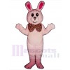 Easter Bunny Rabbit mascot costume