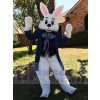 Easter Bunny Rabbit mascot costume