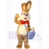 Easter Bunny Rabbit mascot costume