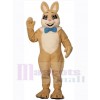 Easter Bunny Rabbit mascot costume