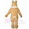 Easter Bunny Rabbit mascot costume