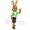 Easter Bunny Rabbit mascot costume