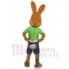 Easter Bunny Rabbit mascot costume
